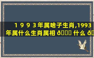 １９９３年属啥子生肖,1993年属什么生肖属相 🐟 什么 🦊 命